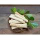 BOLACHA 250g PALITO INTEGRAL